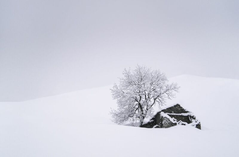 In the snow - a Photographic Art by Giorgio Toniolo