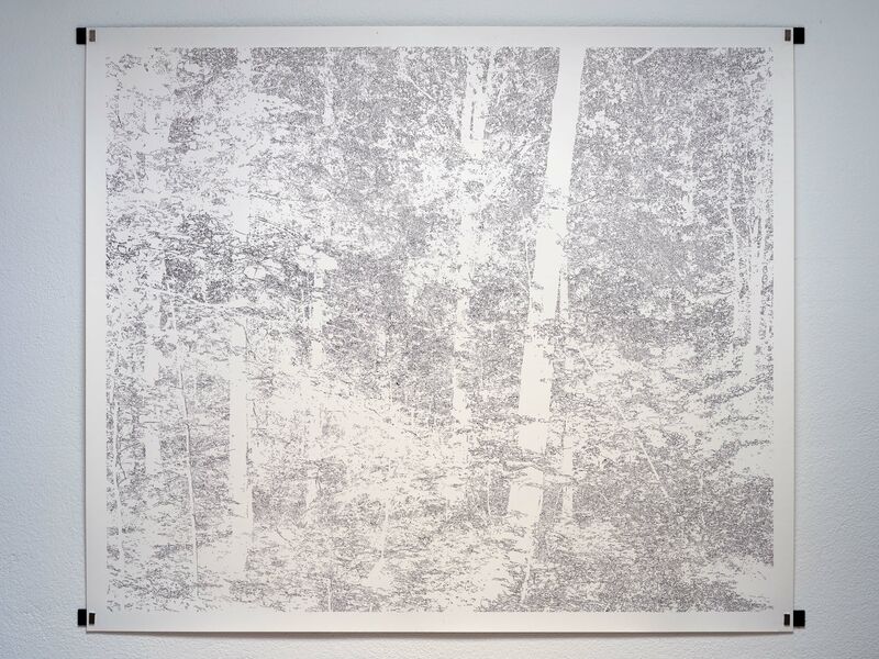 Forest #2 - a Paint by MASSA