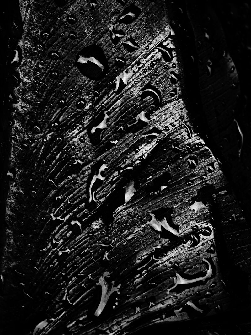 Black OXYGEN - Mercurio Black - a Photographic Art by Sara Franci Visual Artist