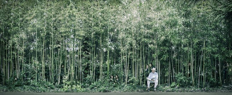 Beyond him (Bamboo forest, Villa Vitali of Fermo) - a Photographic Art by monia marchionni