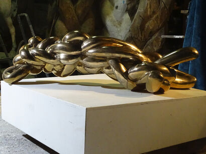 COSMIC KNOT - A Sculpture & Installation Artwork by Codre Florin