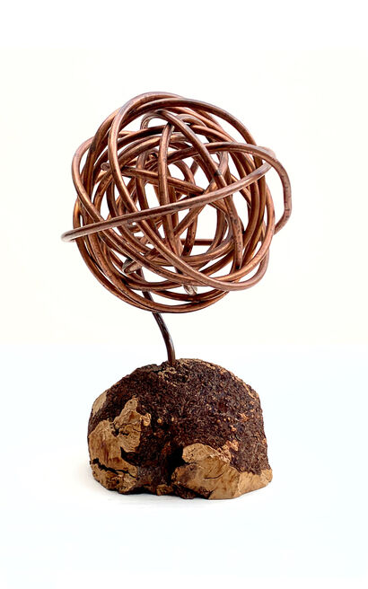 Nucleus - A Sculpture & Installation Artwork by Rea Boschi