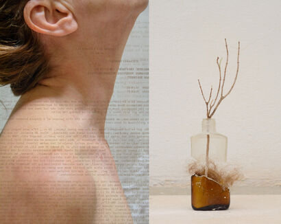 Vile - a Photographic Art Artowrk by Suzanne Gainer