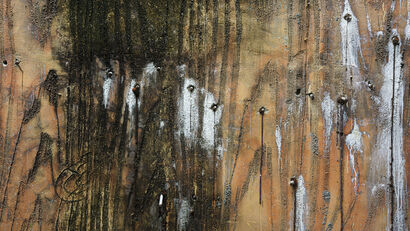 Abstract Landscape Zoo wall - a Photographic Art Artowrk by Flup Janssens 