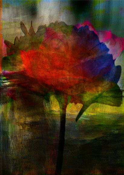 Fleur 60 by Nada Stauber