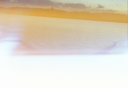 sonata - a Photographic Art Artwork by masahiro kanamori