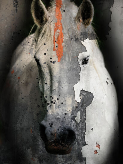 White Horse - a Paint Artowrk by Pier Pramori