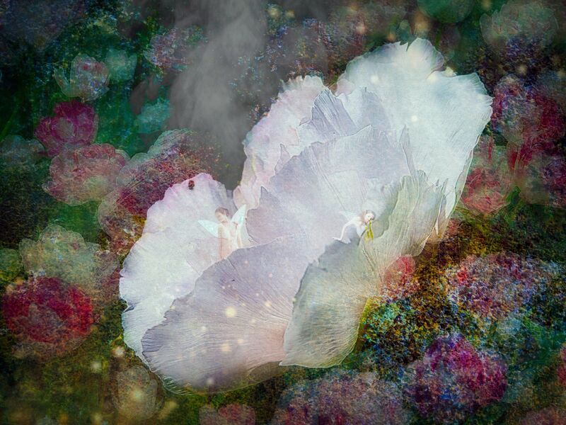 「Spring flowers and fairies」  - a Photographic Art by Toyonari Fukuta