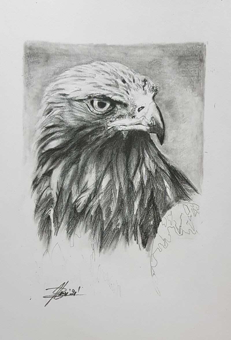 Eagle - a Paint by Riccardo Leri