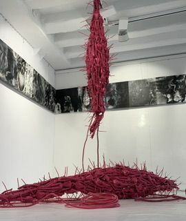 Snapshots from the Pink Planet - a Sculpture & Installation by Vladimir Paun-Vrapciu