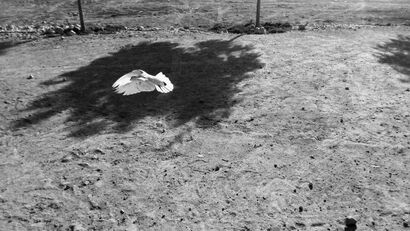 Giordania nell\'ombra della pace - a Photographic Art Artowrk by Thomas