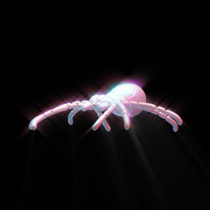 ARANEAE · SPIDER · ARAÑA - a Digital Art Artowrk by christian harvey