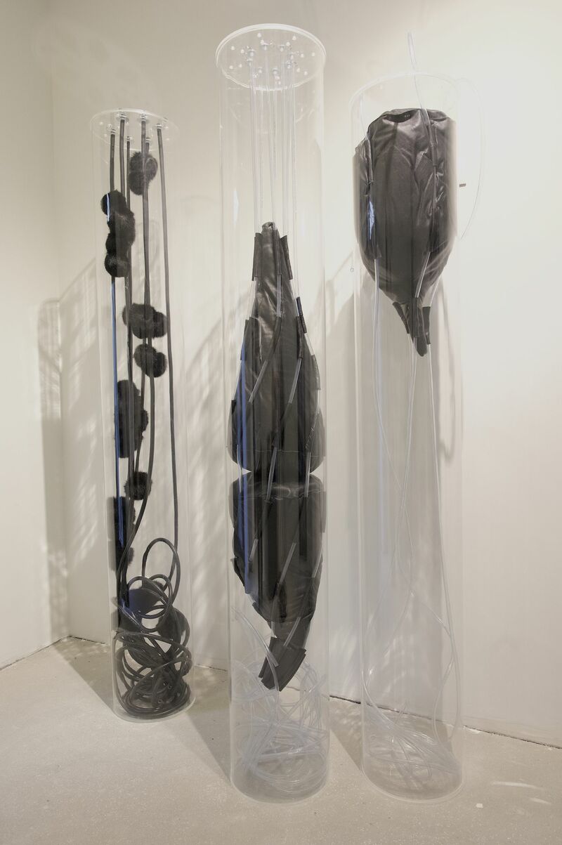 In Vitro - a Sculpture & Installation by Alina Aldea