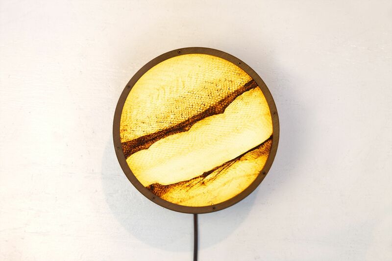Salmon Skin Light - a Art Design by Eric Forman