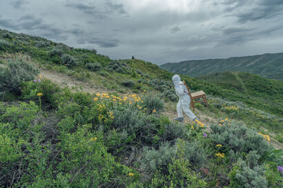 Dispatch from Solitude #1: Walking the Unknown Path - a Photographic Art Artowrk by Beth Krensky