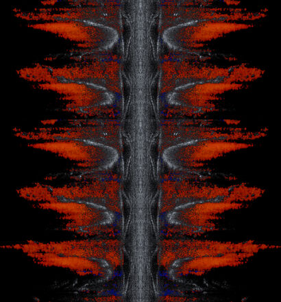 Red Wings Flow - A Digital Art Artwork by GUI MAZZONI