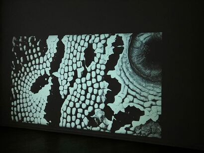 Calligrapedia: A Universal Algorithm #2 - a Video Art Artowrk by Mu Tuan