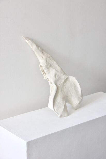 Sem Título (No Title) - a Sculpture & Installation Artowrk by Maria Elisa Vale