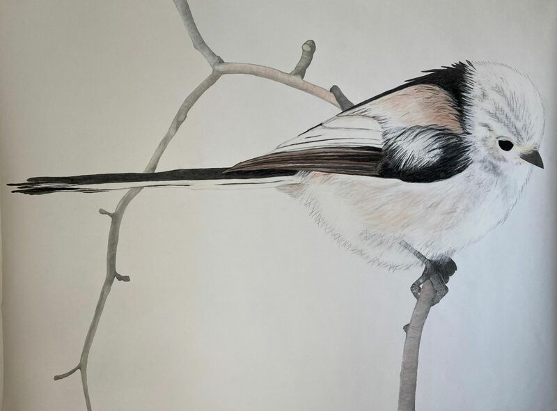 Long-tailed tit - a Paint by Tone Hellerud