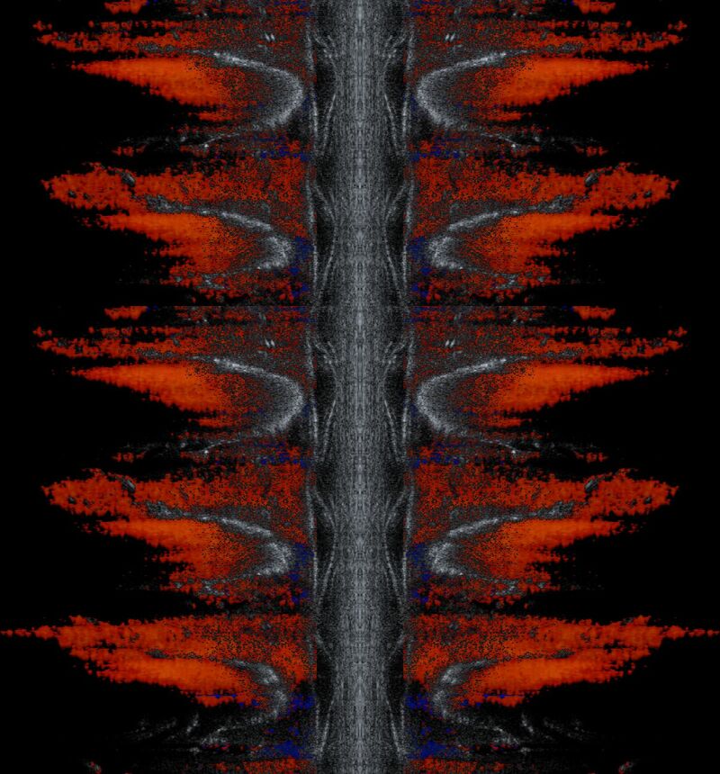 Red Wings Flow - a Digital Art by GUI MAZZONI