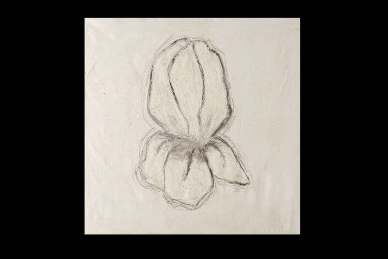 BONE FLOWER - a Paint by teresa maresca