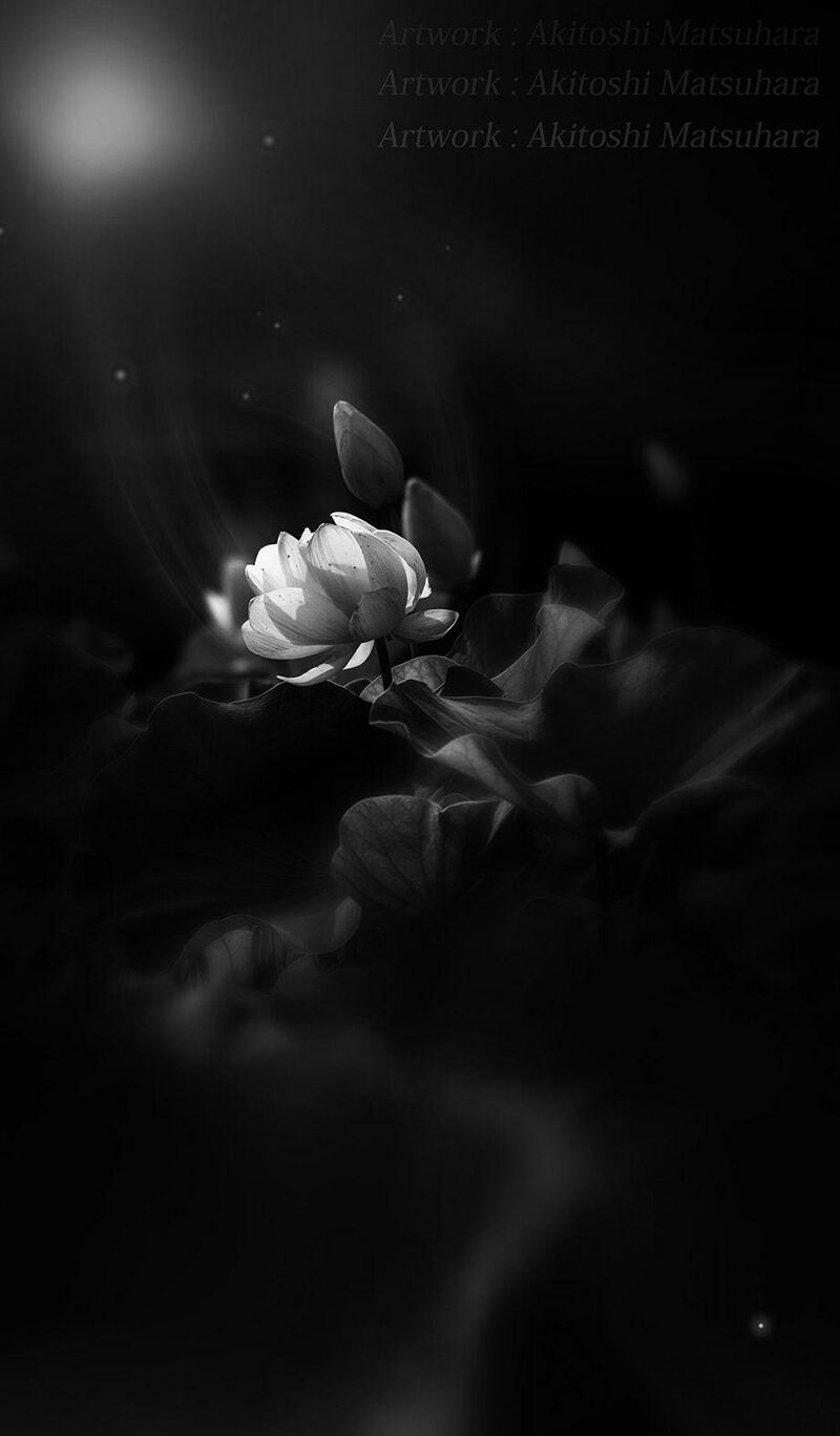 Light in the heart - a Photographic Art by Akitoshi Matsuhara