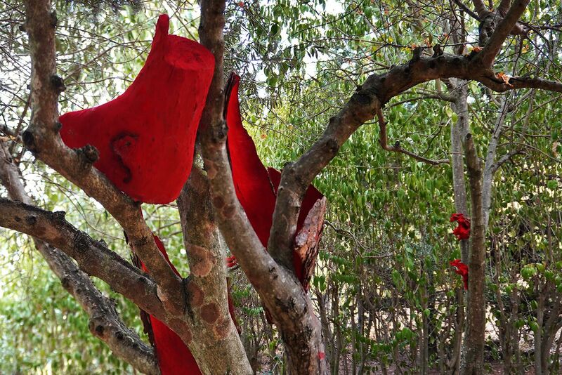 Rosso VIVO - a Land Art by Gioia Aloisi