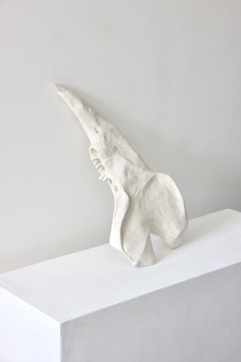 Sem Título (No Title) - a Sculpture & Installation by Maria Elisa Vale