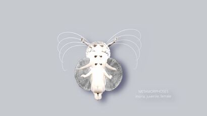 ACTING MATTER - metamorphoses - moria - A Video Art Artwork by Christina Hellmerich