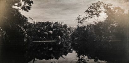 Territory #1: Paquare - Sleepy Hollowq - a Photographic Art Artowrk by Camors Salomé-Charlotte