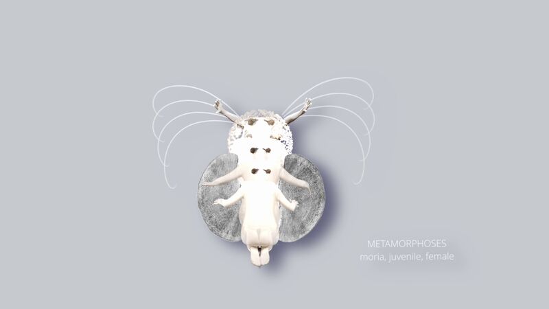 ACTING MATTER - metamorphoses - moria - a Video Art by Christina Hellmerich