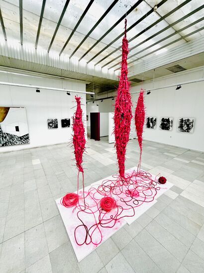 Snapshots from the Pink Planet - a Sculpture & Installation Artowrk by Vladimir Paun-Vrapciu