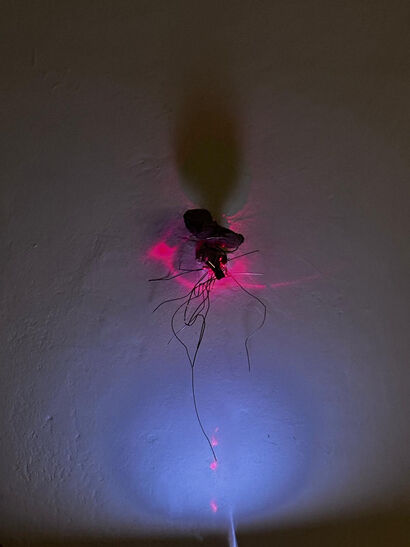 Poetic Entanglement II° - a Sculpture & Installation Artowrk by Cristina  Gozzini