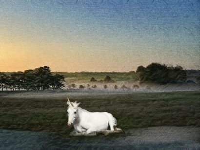 Look what I found in my secret garden - a Photographic Art Artowrk by egronista