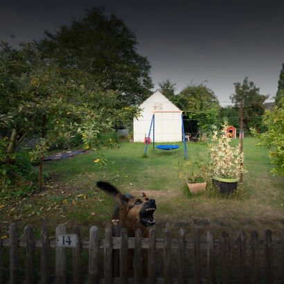 Allotment Garden 2.0 -  Picture 3 of 4 - a Photographic Art Artowrk by FLL