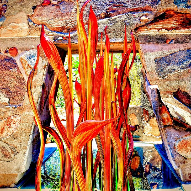 Passion in The Desert - a Photographic Art by michael watz