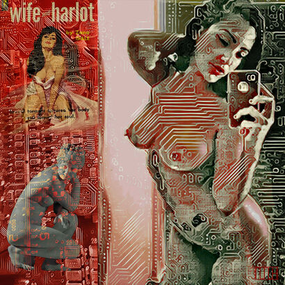 Wife or Harlot or Venus - a Digital Graphics and Cartoon Artowrk by MLH