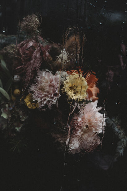 Beauty Blurred - a Photographic Art Artowrk by Runa and Holly