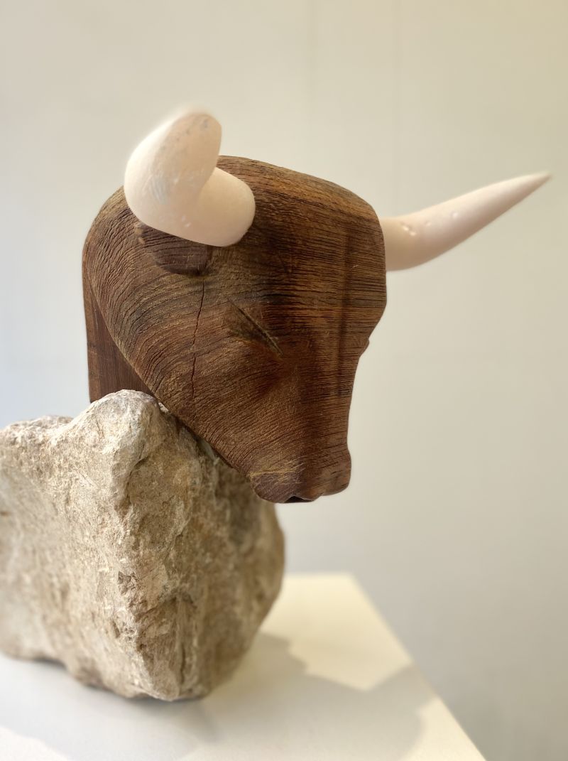 Bull's Head - a Sculpture & Installation by Michael Blochberger