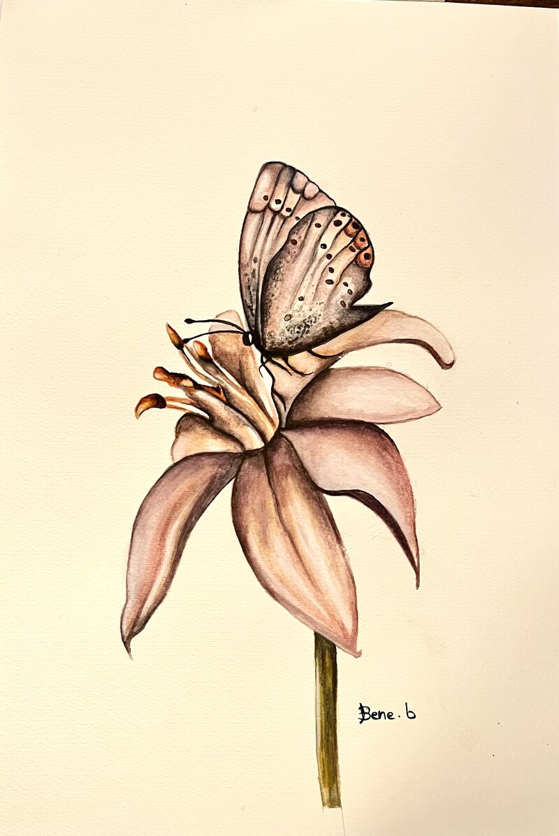 Farfalla in posa  - a Paintings by Benedetta Bianchi