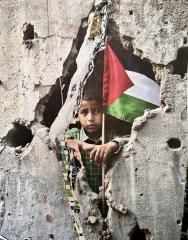 Free Gaza - a Paintings by Martin Loume