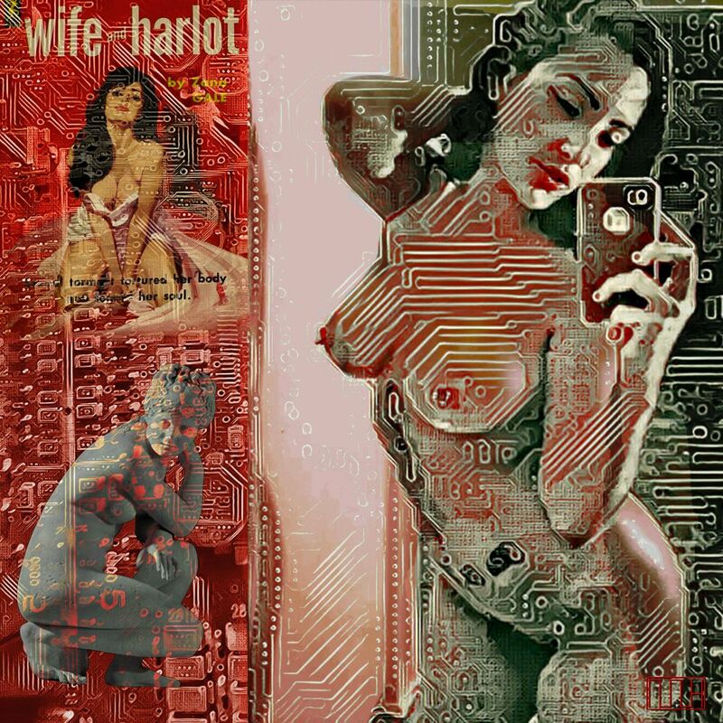 Wife or Harlot or Venus - a Digital Graphics and Cartoon by MLH