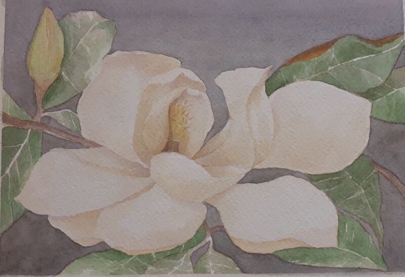 Magnolia - a Paint by ALESSANDRA MEROLLI