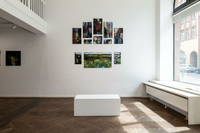 Adoration of Artificial Nostalgia - a Photographic Art Artowrk by witold riedel