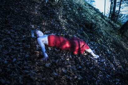 The Death of Perrault heroin - a Photographic Art Artowrk by Marie Lise Rossel