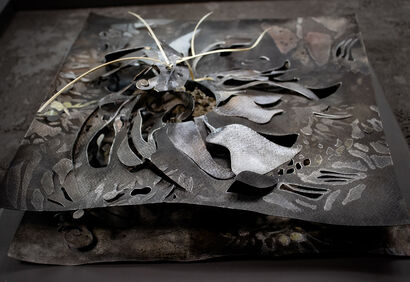 The Shadow of an Ecosystem: Sustainable Terra - a Sculpture & Installation Artowrk by YLECARA