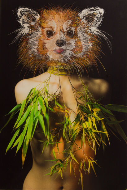 Panda roux. L - a Art Design Artowrk by Christelle Dupaquier