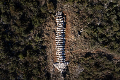Rachis - a Land Art Artowrk by Jordi NN