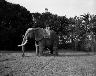 Elefante? - a Photographic Art Artowrk by stefano biserni