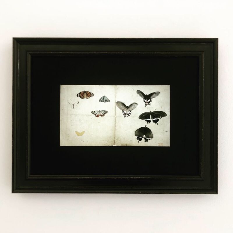 Butterfly - a Video Art by Mami Kosemura